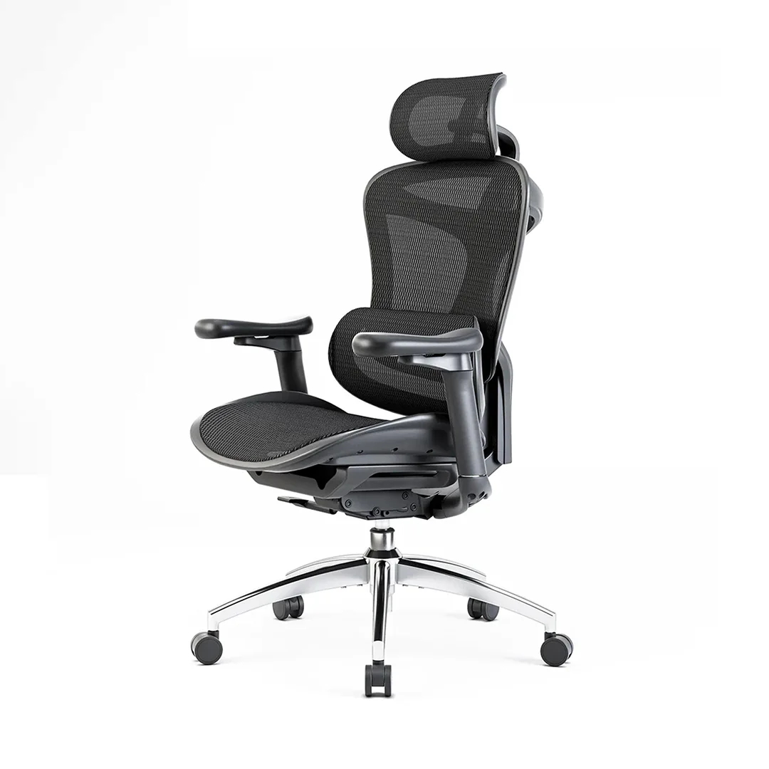 SIHOO Doro C300 ergonomic mesh office chair
